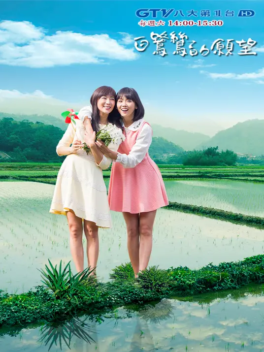 《白鹭鸶的愿望》:一段跨越时空的爱恋,揭秘女性命运的挣扎