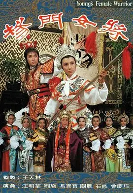 经典传奇《杨门女将粤语》:巾帼英雄的热血征战