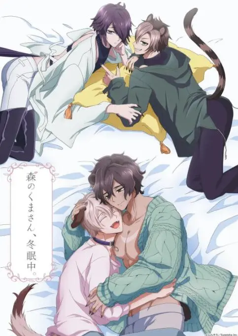 《森林里的熊先生冬眠中》：治愈系动画，寒冬暖心，感受熊先生的萌趣日常